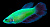 Петушок GloFish (самка) ассорти